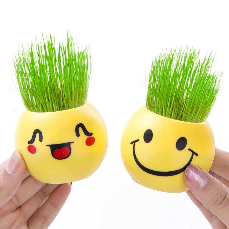 1PC Expression Long Grass Head Doll Micro Landscape DIY Mini Plant Pot Decoration Grass Planting Potted Crafts U3