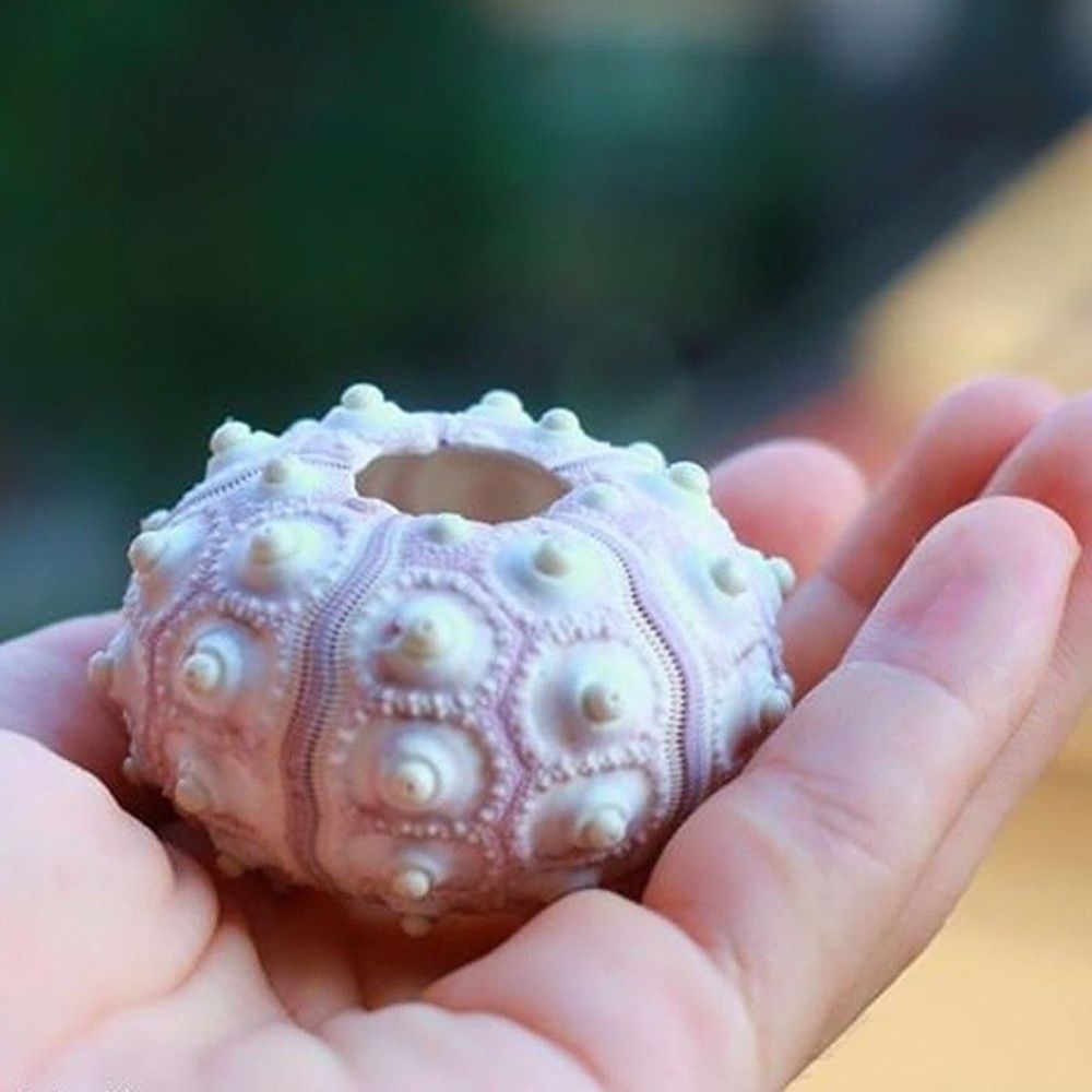 Multi-Face Succulent Planter Vase Small Face Planter Head Face Vase Home Decoration Succulent Cactus Indoor Plant Pot