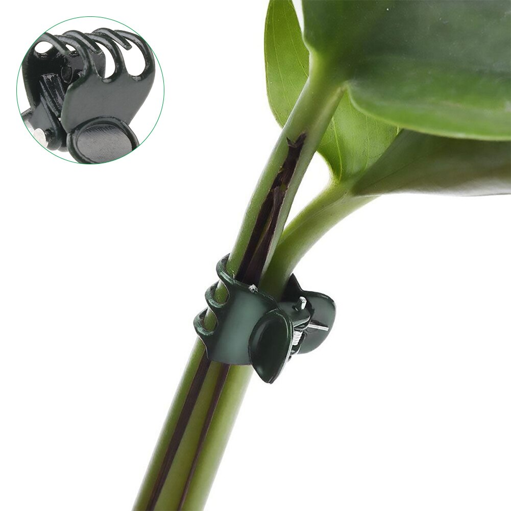20/50PCS Plastic Plant Support Clips Orchid Stem Clip for Vine Support Vegetables Flower Tied Bundle Branch Clamping Garden Tool
